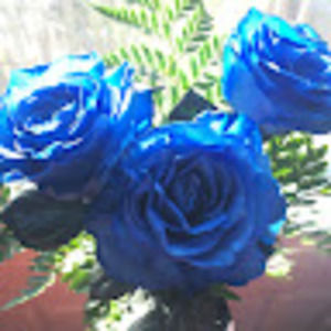 Meet your Posher, Jen's wands